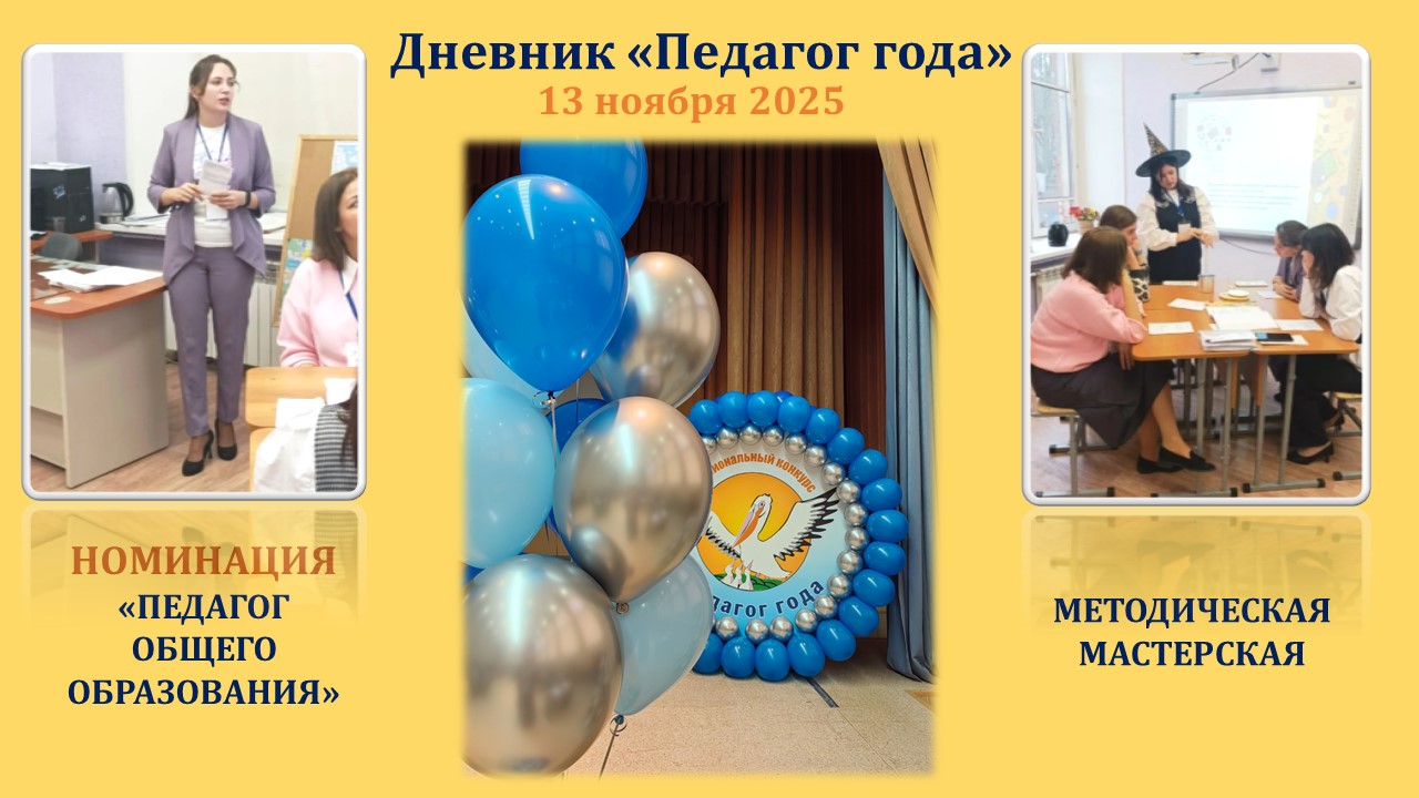 Дневник Педагог года.jpg